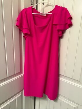Aryeh Vibrant Pink Scoop Neck Shift
